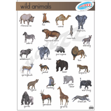 WILD ANIMALS - POSTER  